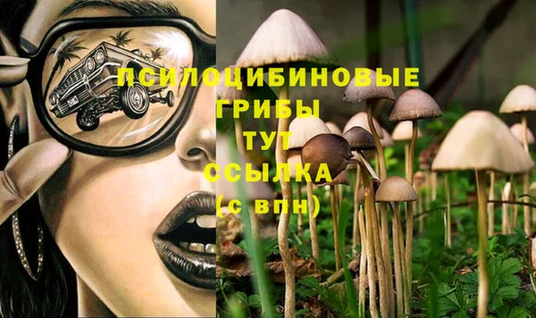 ECSTASY Абаза